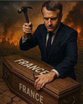Valet9's tweet photo. @FouratiJerbi #MacronDemission #MacronDégage https://t.co/IT36r8Xoh5