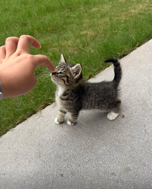 culKitten's tweet photo. https://t.co/5mQo4dgg2F