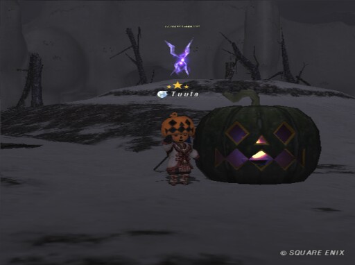 konyanko2's tweet photo. #FF11
カボチャを探そう！②
大きいのが多くて見つけやすかった😃 https://t.co/CddhB3HZBC