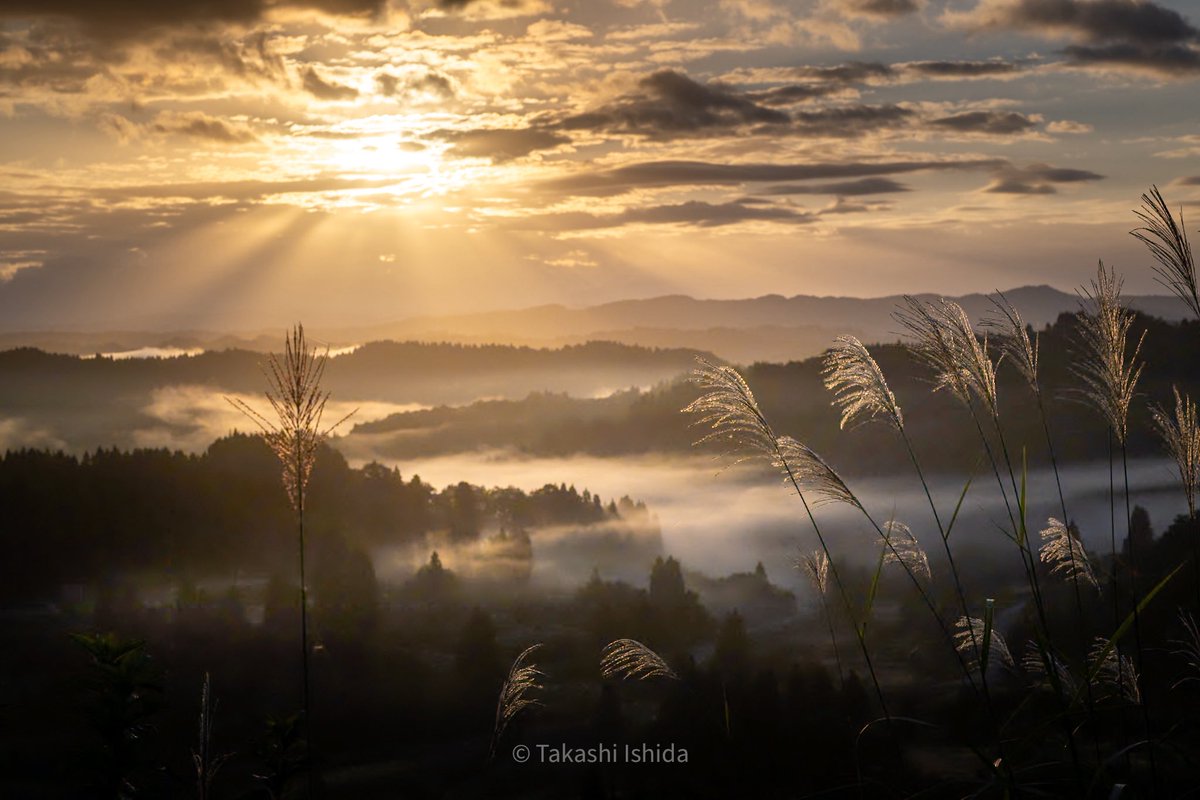 takashi5868's tweet photo. 『光纏う秋🍂』

2026.10
新潟県十日町市 星峠の棚田にて🌾
Nikon Z9 + NIKKOR Z 70-200mm f/2.8 VR S II
#tokyocameraclub https://t.co/XGXtWfC5mO
