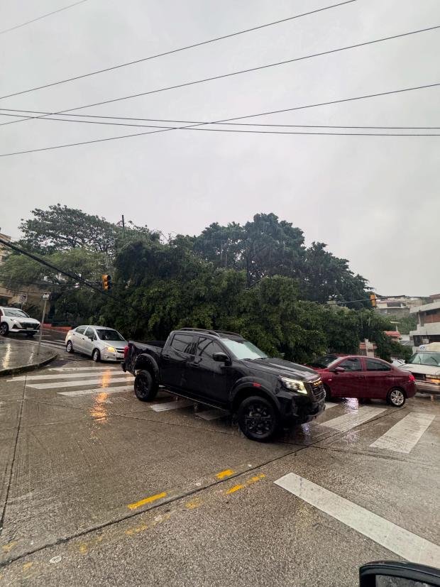 EmergenciasEc's tweet photo. Árbol caído a la altura del Portón de las Lomas, sector sin energía eléctrica. https://t.co/cv8M5H22KL