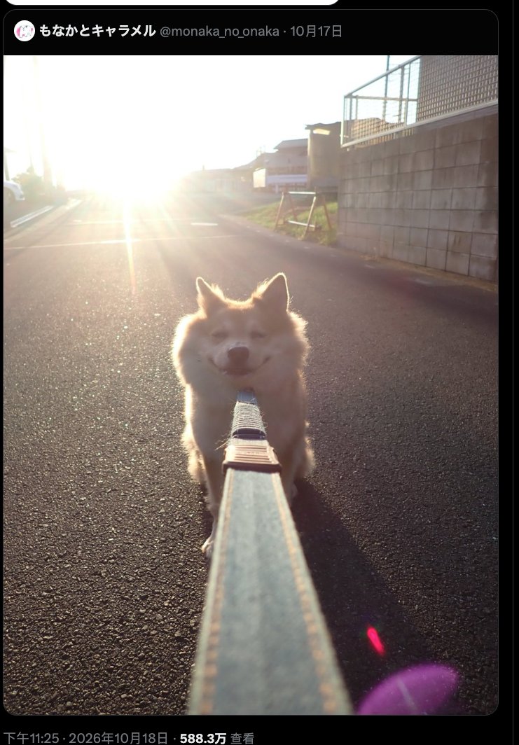Oringold_'s tweet photo. @narumitimatuda 这不就是新的骑士小猫吗
骑1士1小1狗
原帖600万
这个帖子5百万 https://t.co/L6ErbjfsAV