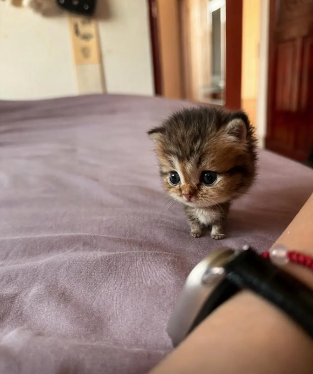 culKitten's tweet photo. https://t.co/rEyyYWDoIz