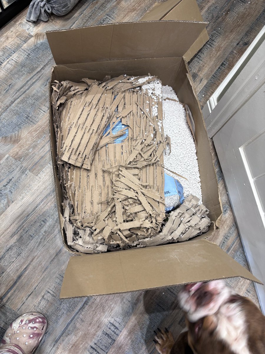 LucyNorwood87's tweet photo. Don’t bother ordering from #petsathome they use #dpd as a courier and #dpd deliver to the wrong house then say this isn’t their problem on the next delivery. £68 order no customer care from either companies #CustomerExperience #petsathome https://t.co/Teh4eTIJpo