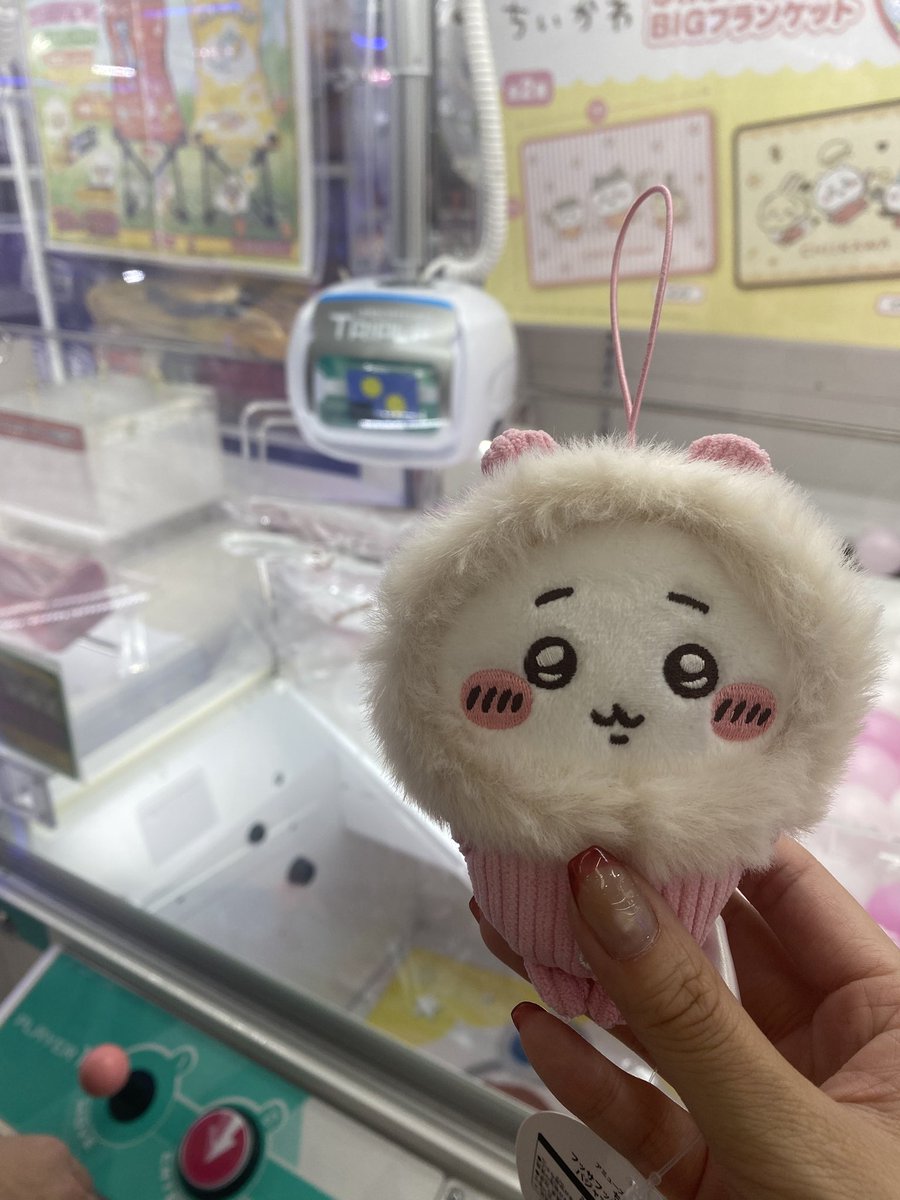 ynuna1788's tweet photo. 天井のブランケットと100円のちい様♡
あんた可愛いのよぉ〜🥹 https://t.co/Ybp8CYs3hy