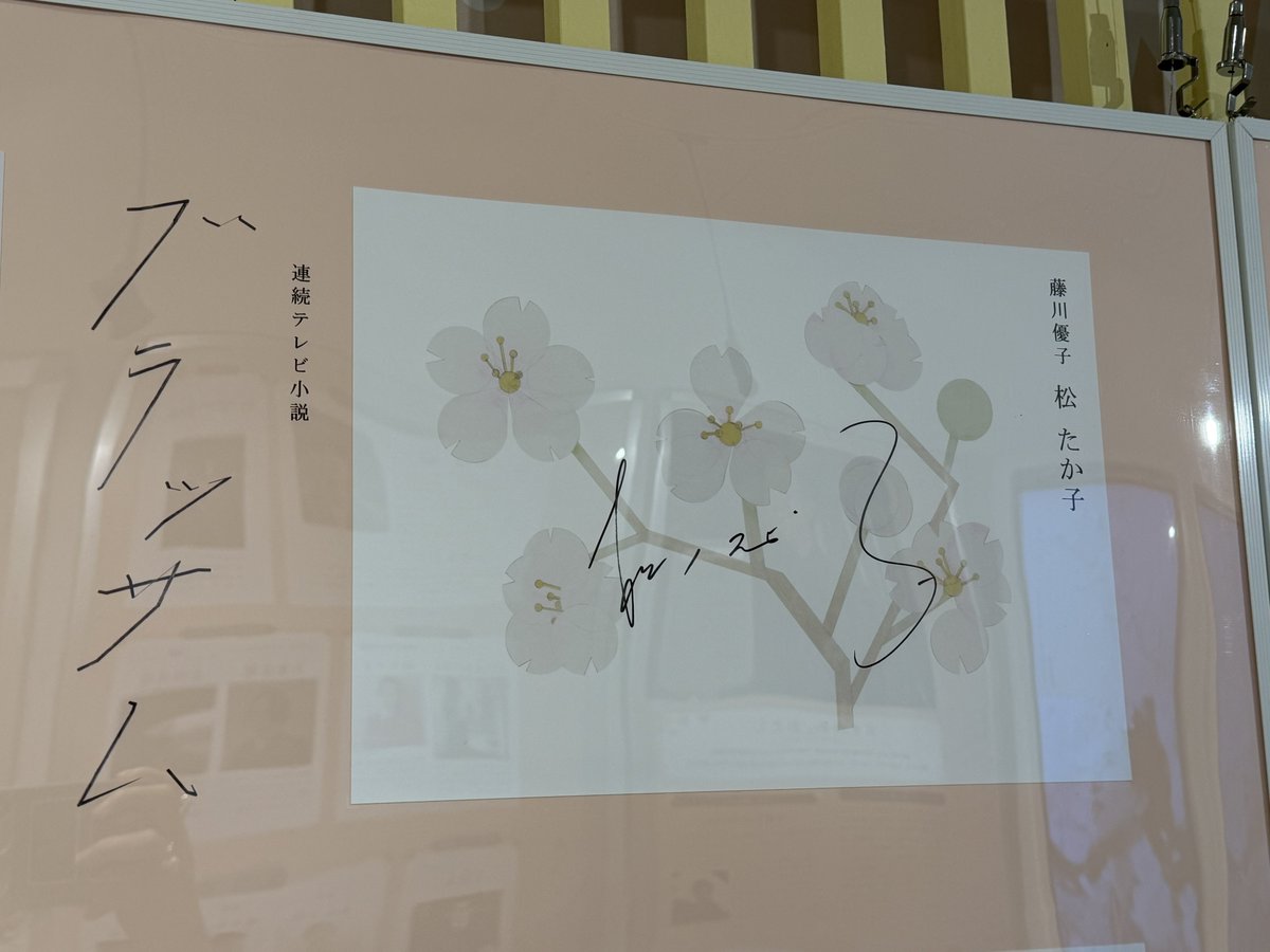 natu52312674's tweet photo. NHK大阪放送局のブラッサムの展示も見てきました！
松さんのサインを見られて嬉しかった🥰 https://t.co/vq6OLci08u