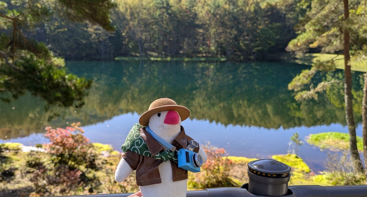 nuts_pine's tweet photo. 三連休は観光日和でした☀
太陽近くてジリジリした！ https://t.co/DbYtSSnodi