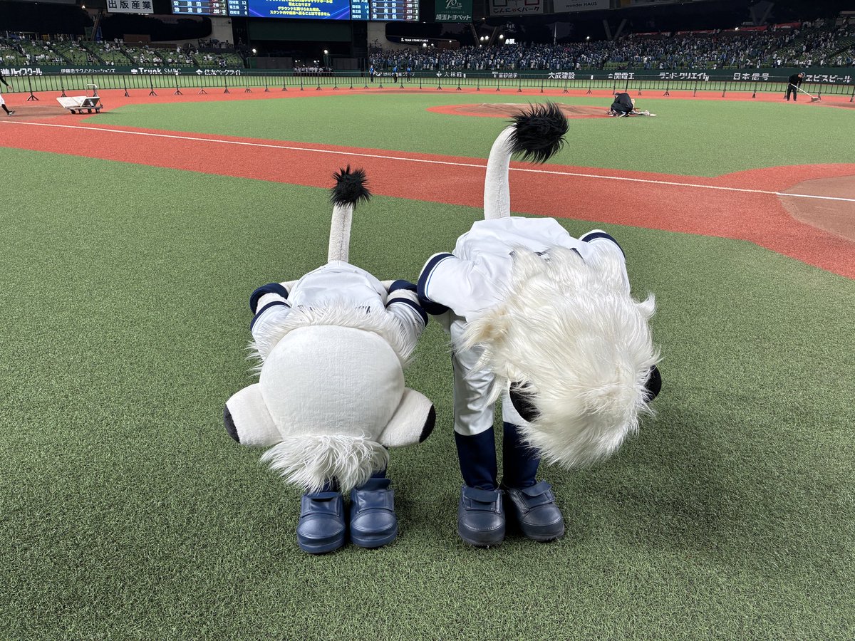 lions_lina's tweet photo. 2026 レギュラーシーズン。
「2026 パーソルCS パ」 ファーストステージ。いっしょにたたかってくれた
ライオンズファンの みんな。
ほんとうに、ほんとうに ありがとうございました！！
#seibulions #埼玉西武ライオンズ https://t.co/wNLOmQfAyI