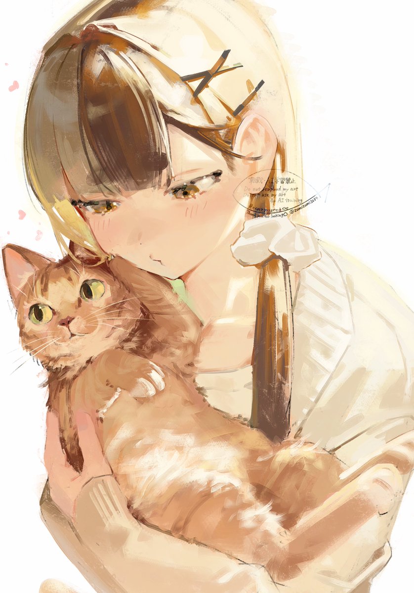 ZumiZumi1254's tweet photo. 🐱 https://t.co/YG1WEmorFz