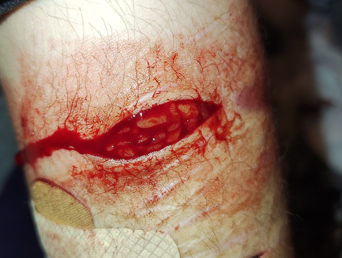 F0rma1dehyde's tweet photo. Elon got me so I'm just putting these here because I don't feel like completely reposting it at least for rn https://t.co/IDbilFcHNg