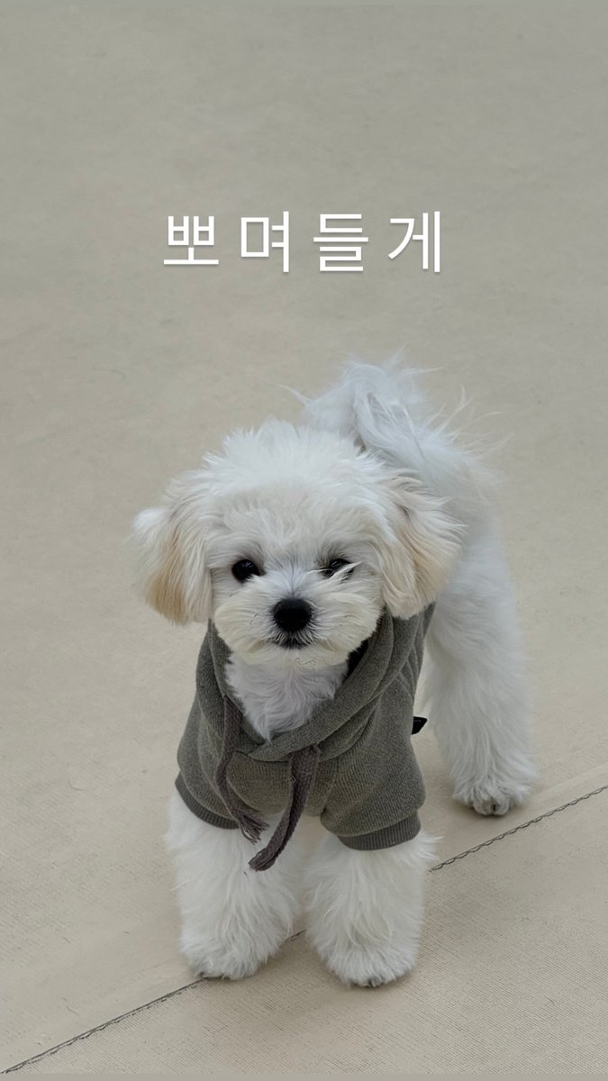winto_010101's tweet photo. RT @teamwinteroffcl: 261012 imwinter IG Story

#WINTER #윈터 #aespa #에스파 
#ウィンター #金旼炡 #冬子 
@aespa_official https://t.co/agLykkcjdy