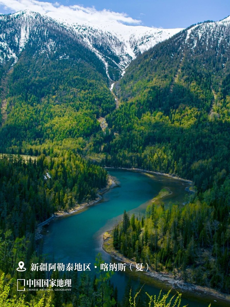 qianduo53129251's tweet photo. 新疆阿勒泰地区·喀纳斯 https://t.co/uiZAAQfnlR