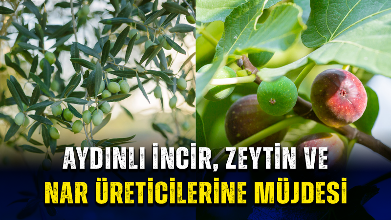 YeniSokeGazete tweet picture