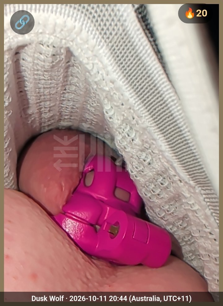melburnsub's tweet photo. This #cagecheck was taken in a park. Let me explain.
The Boss is away, showing off the key hanging around His neck, while His boy is back home doing "community service" with his nub safely locked away. #teamlocked #sub #chastitysub #chastitygay #melbgay https://t.co/5wBV1dEaYg