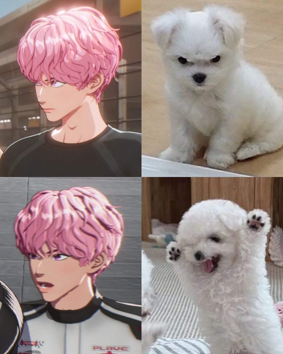 hearepeaty's tweet photo. 화난 아기 강아 망!!🐶💗 https://t.co/THWdUvdWpI