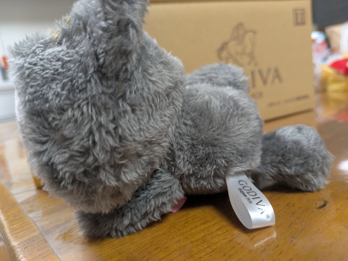 kurikan_top's tweet photo. GODIVA×クロミちゃん届きました！黒猫フード脱着可能！☺️💕伏せポーズも可愛いよ〜〜！！💞 https://t.co/5LgO4OXsBF