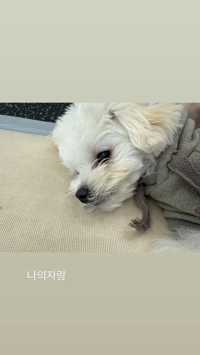 hourlykwinter's tweet photo. imwinter instagram story update https://t.co/OPqTMI2SLm
