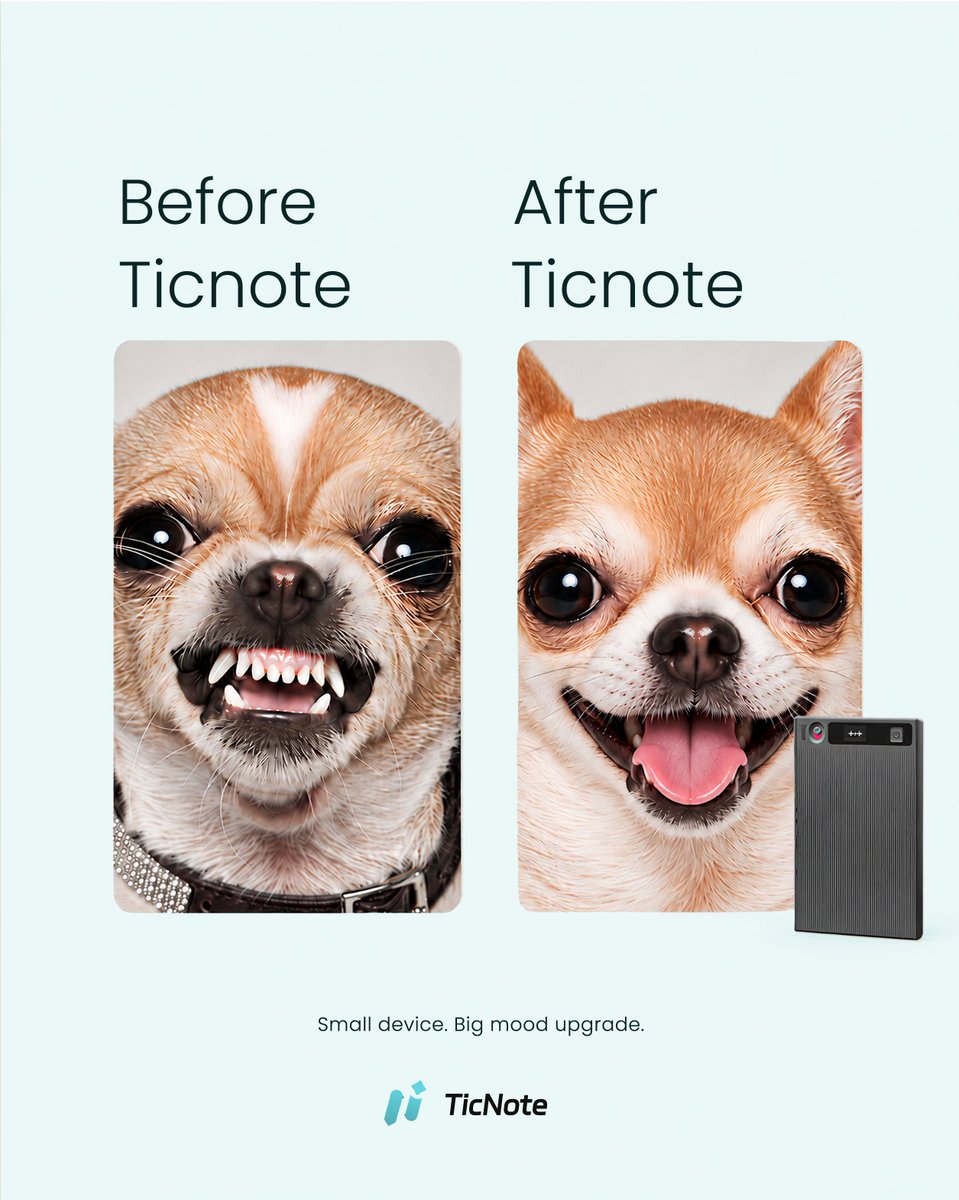 ticnotecloudTNC's tweet photo. Me after: I just talk. TicNote takes the notes. 
The dog on the right is who I am at 6pm now
#TicNote #MeetingNotes #BeforeAndAfter #MoodUpgrade #WorkLife  #AITools https://t.co/iSx6EgUKpe