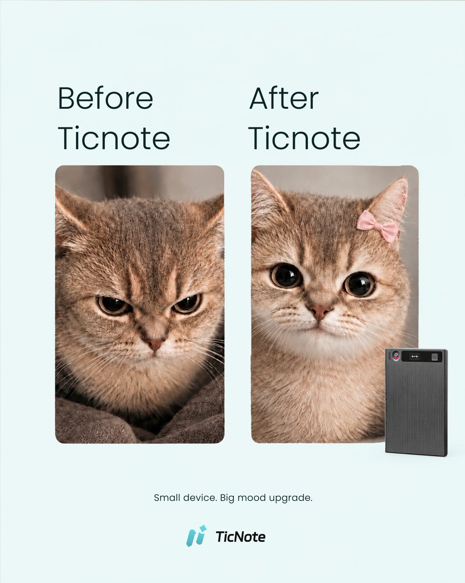 ticnotecloudTNC's tweet photo. Me after: I just talk. TicNote takes the notes. 
The dog on the right is who I am at 6pm now
#TicNote #MeetingNotes #BeforeAndAfter #MoodUpgrade #WorkLife  #AITools https://t.co/iSx6EgUKpe