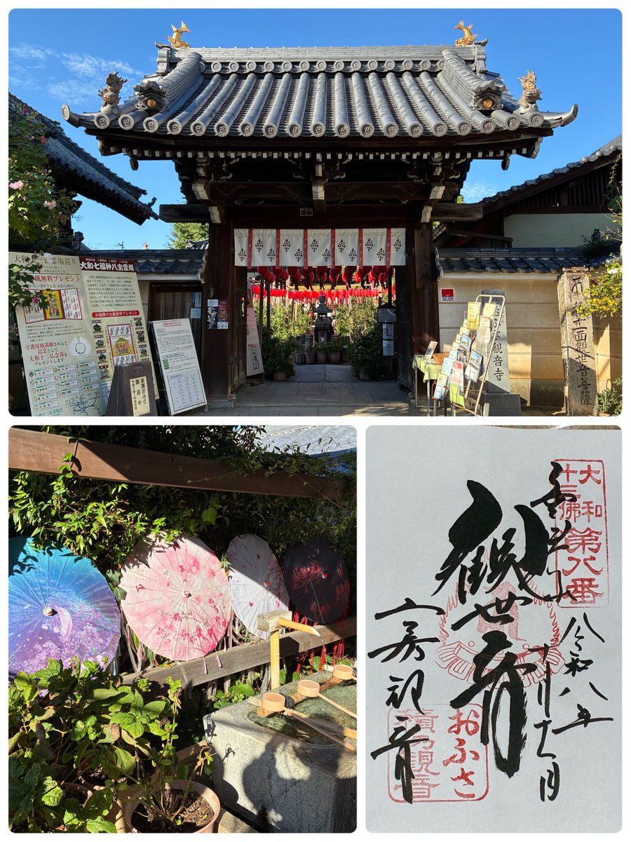 kix3kd0101's tweet photo. 提灯がいっぱい！
メダカや子亀がいました😃

境内の奥にある茶房でトロピカルアイスティー🍹
お庭が見える座敷でいただきました。
暑い中たくさん歩いた後だったので、ゆっくりくつろいじゃいました。

 #おふさ観音寺 https://t.co/5UC7UaCyV9