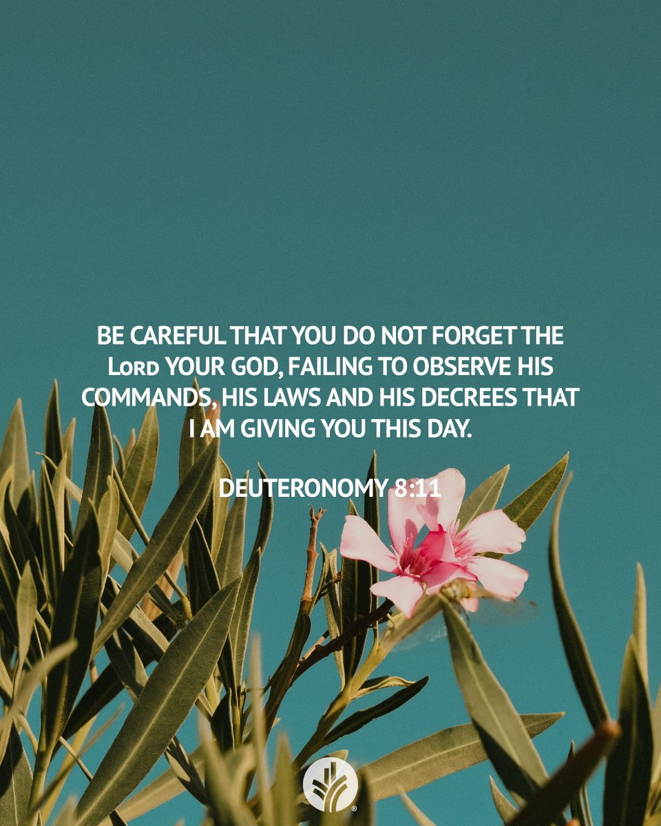 ourdailybread's tweet photo. Connect with God through today’s devotional! https://t.co/NLsvQtPFpr https://t.co/jiqIPJvmeS