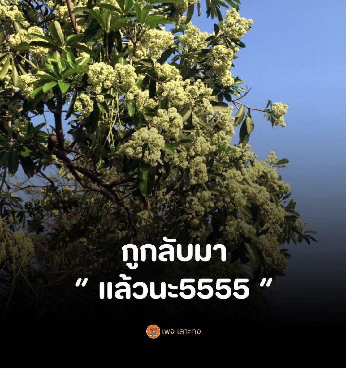 Karn95Jin's tweet photo. ไม่ตอนรับ https://t.co/erFlVR7b8B