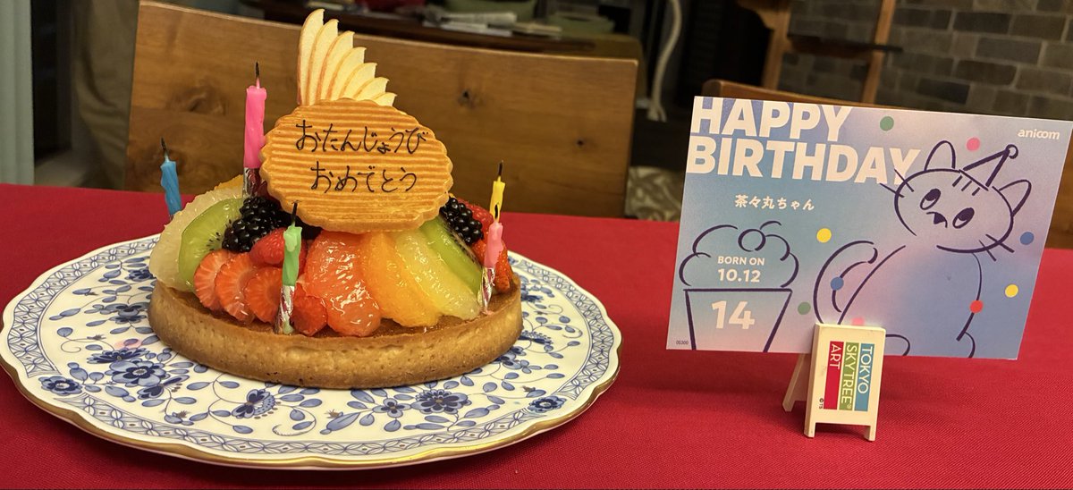 ky103black's tweet photo. ちゃちゃまる14歳の誕生日🎂 https://t.co/mnOxG42Uig