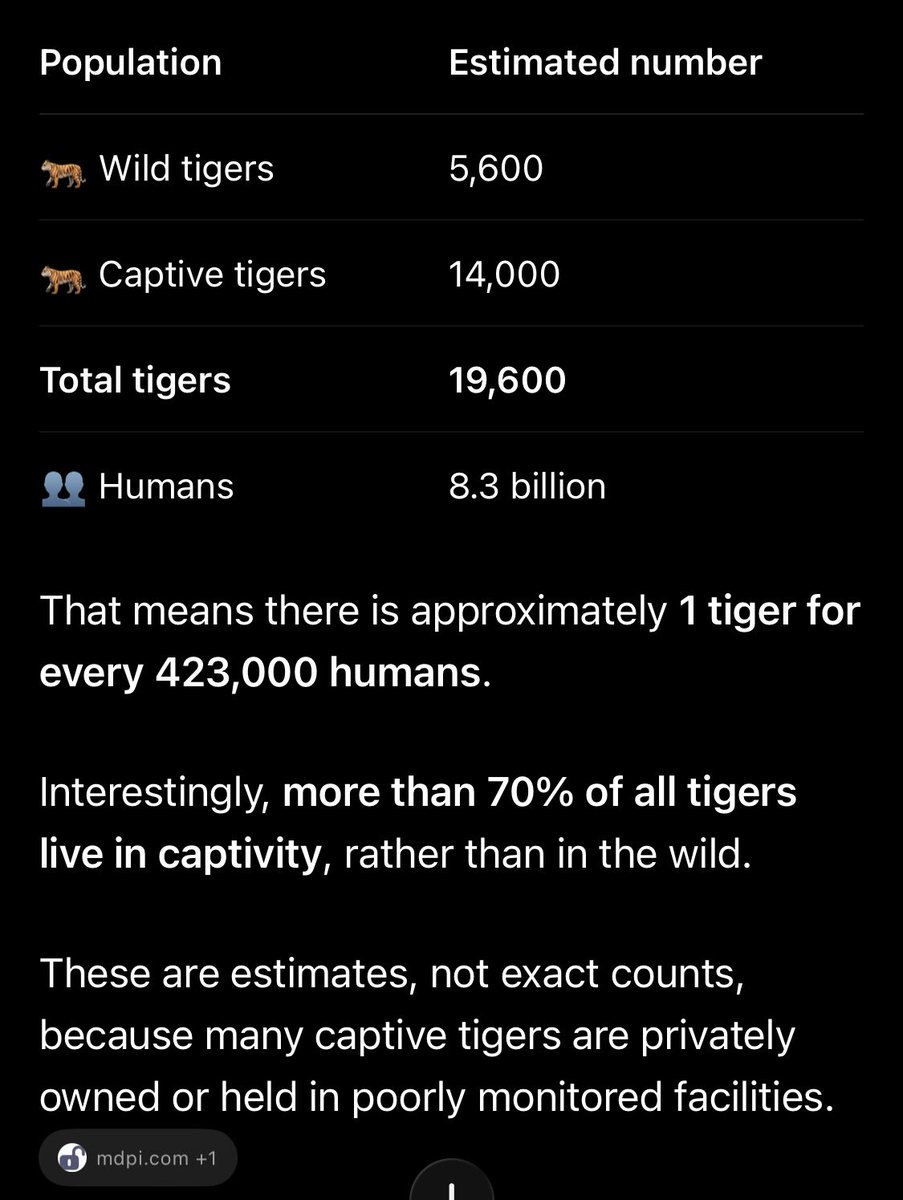 emilsbride's tweet photo. This absolutism doesn’t make much sense to me atp. There exists 1 tiger for over 400,000 ppl. We’re constantly extincting species while pouring resources into humans that can’t survive independently amidst absurd safetyism. You don’t have to save every human to value human life. https://t.co/CFA53azLa2