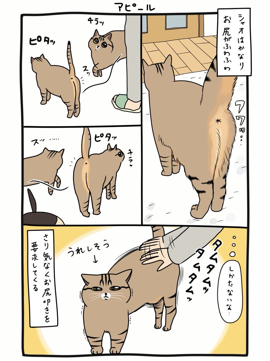 VQfuv's tweet photo. ネコハラがすごい https://t.co/bqfCGH8HG1
