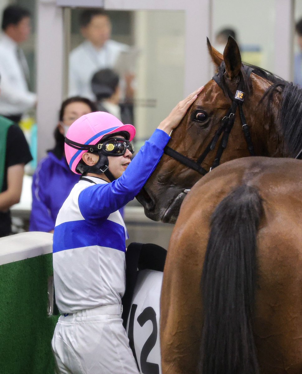 oimo_504's tweet photo. 2026/10/12 東京5R メイクデビュー東京
#スパリエーラ
#横山和生 騎手
①②なでなでされてうれしそう😳
③なでられてうれしすぎた😆😣
④担当さんも嬉しそうなのが伝わる😌 https://t.co/BBkAmEhtyD