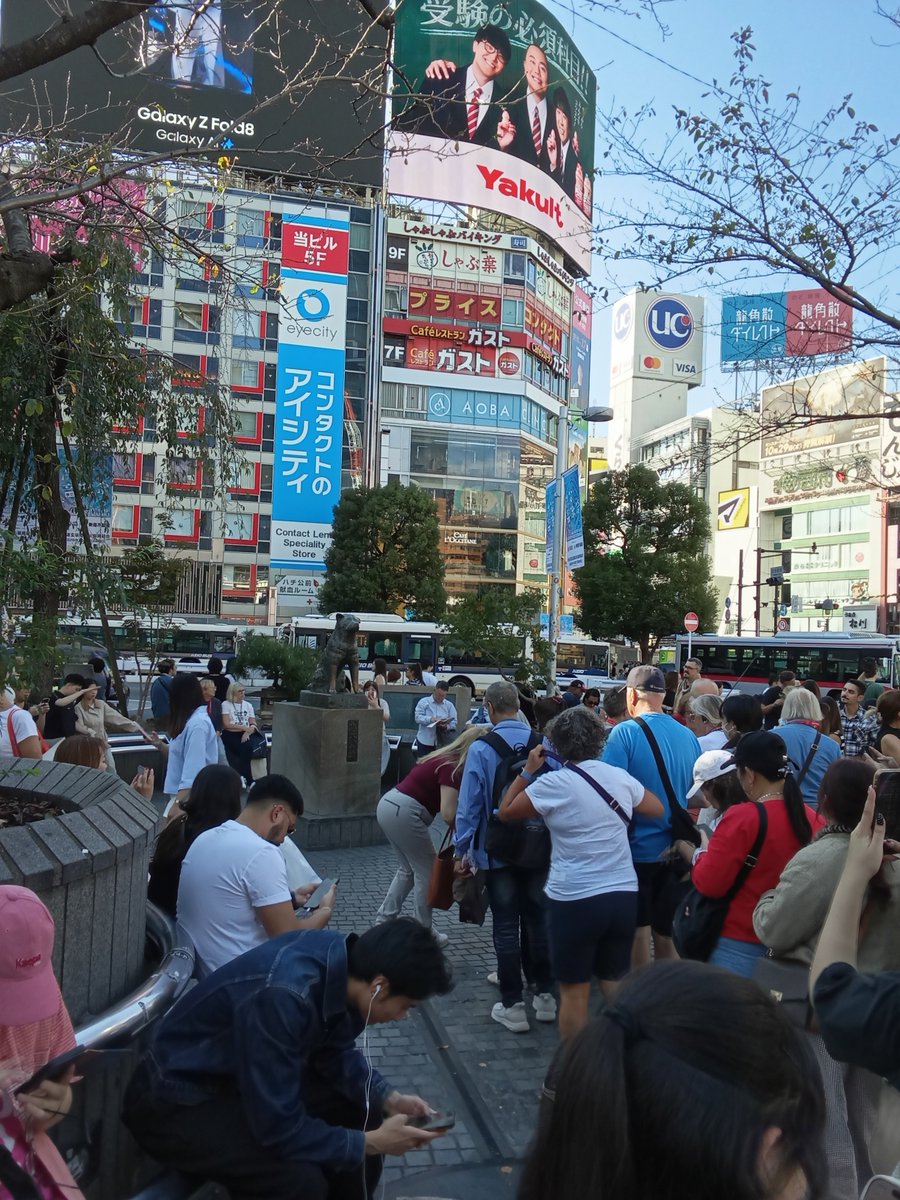 ransim5's tweet photo. ハチ公に並ぶひとは一時期よりは少なめ？
ただ山手線が人身事故で止まってると考えるとガラガラと言ってもいい感じだった https://t.co/xolNqSwTuy