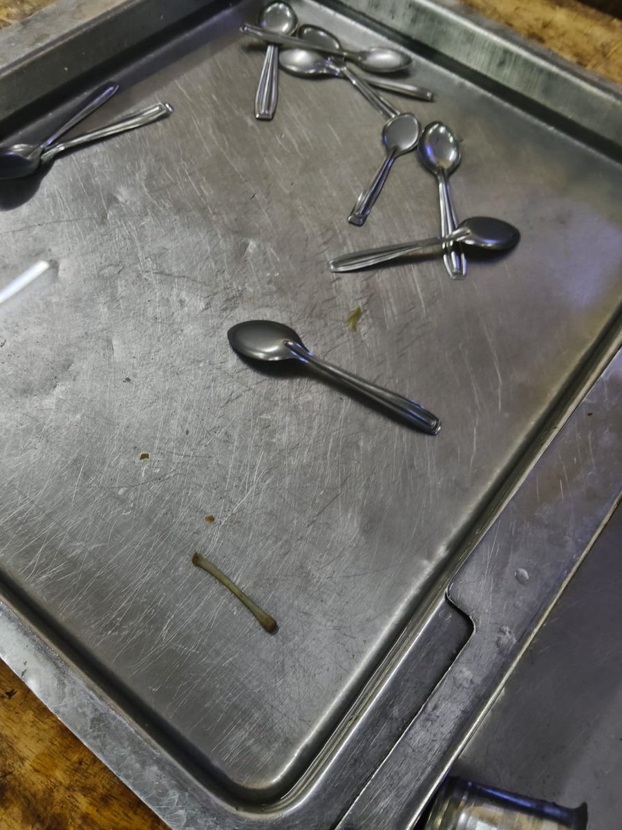 beast45854's tweet photo. Spider was found in dosa, bone was found in spoon section, curd was stick even after washed glasses.

Gems of NIT warangal, so called Tier 1 College.....being a pure veg student here sucks and there's Navratri going on...
How can a system be so careless😐.
@Tukaram_IndIAS look. https://t.co/riPOzt7QrG