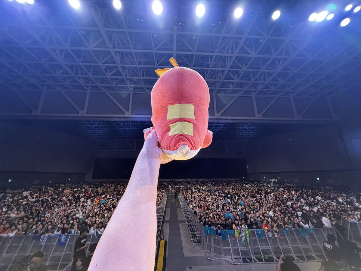 3ps708's tweet photo. ホゲータ、これがFOMARE大陸だよ https://t.co/WV1iZ6bUEs
