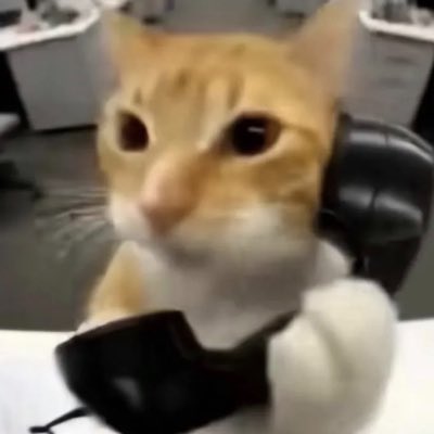 Faisal__845's tweet photo. #NewProfilePic https://t.co/wUMBlF1MPi