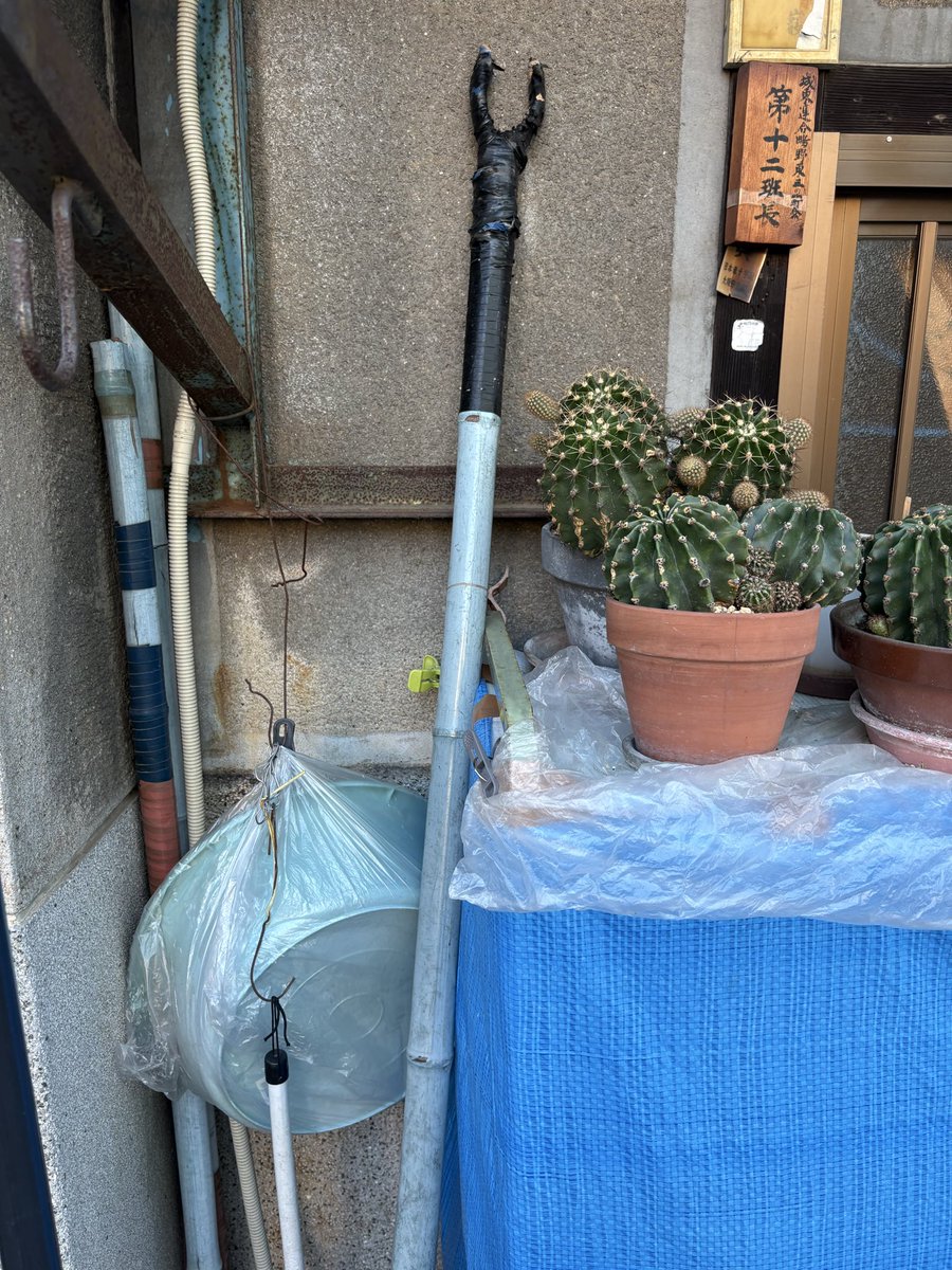 plus9123hh's tweet photo. 長屋の現役物干し
あんな高いトコにどーやって竿を掛けるん思ったらコレあったわ https://t.co/jF0gzGFiyg