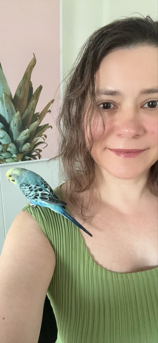 Devoted_Patsy's tweet photo. She always entertained 🐦😅 https://t.co/n13tJgjBCZ