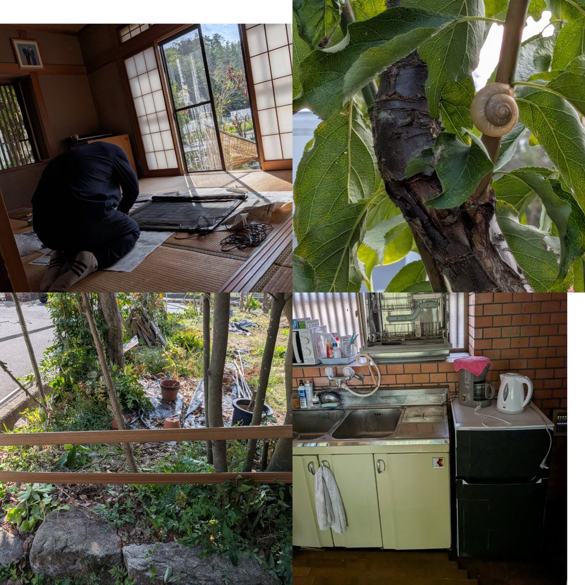 hnsd2713's tweet photo. みんなの居場所づくり♫
今日は網戸の張り替えと、庭の剪定
子供達が飛び出さないように塀を作りました

冷蔵庫の献品があり、設置しました
少しづつだけど…
いつでも誰でも集える場所…
共に祈りを捧げる場所…
庭ではカタツムリやカエル🐸も遊んでました♪
#家庭連合信徒の日常 https://t.co/RX6tnML3R0