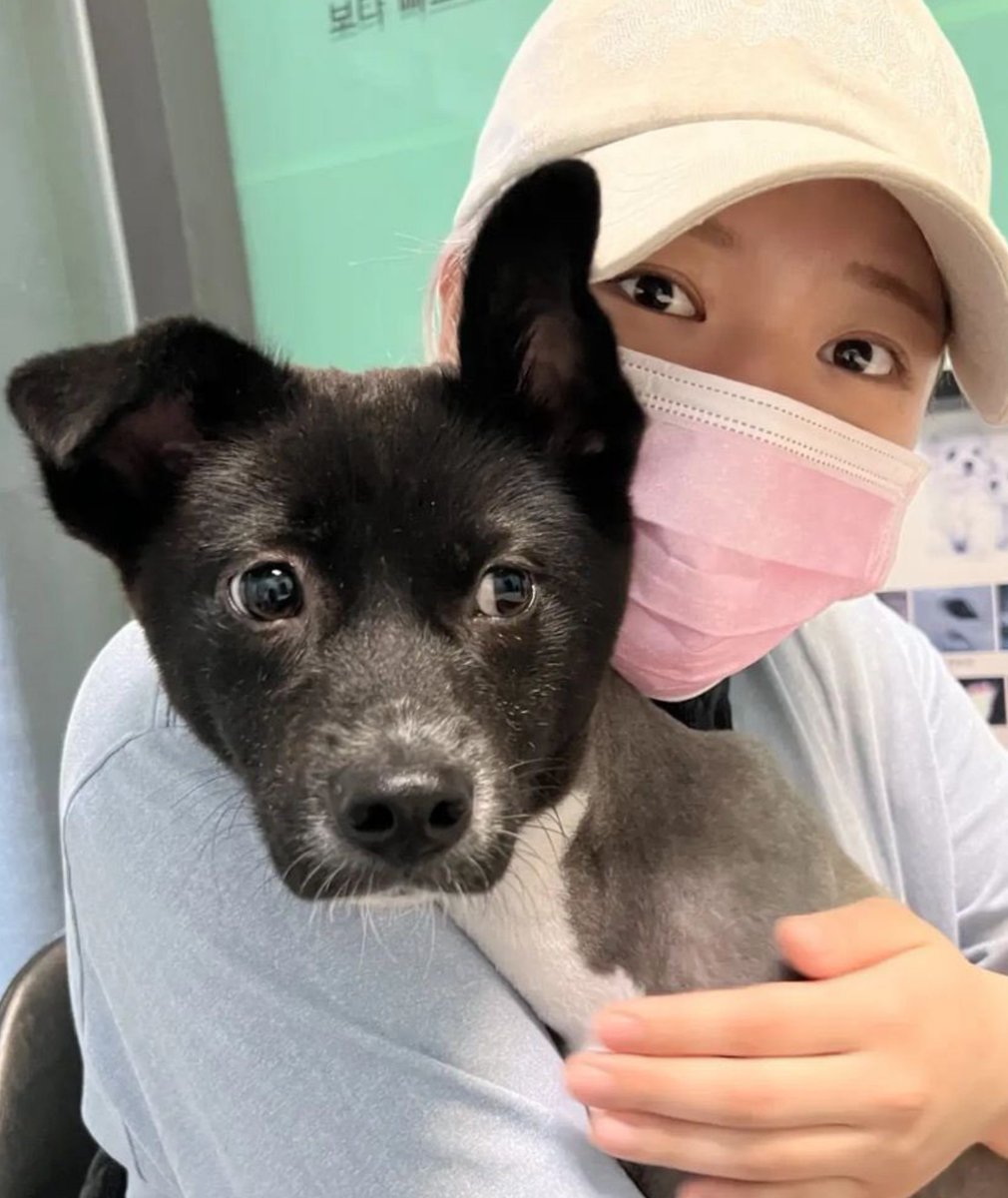 OT_9WICE's tweet photo. Su TDOONGZ y Lovely, están Yuki y Jeongyeon 🥺💚 https://t.co/eII3AatHDN