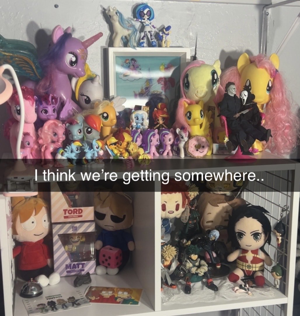 licoash's tweet photo. I’m not going crazy I swear I had the eddtom and tordmatt computer buddies somehwere I CANT FIND THEM 💔💔I need better display shelves guys .. https://t.co/aWQjecj0L6