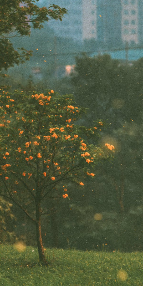 aestheticwabi's tweet photo. https://t.co/dzYsU4fc7M