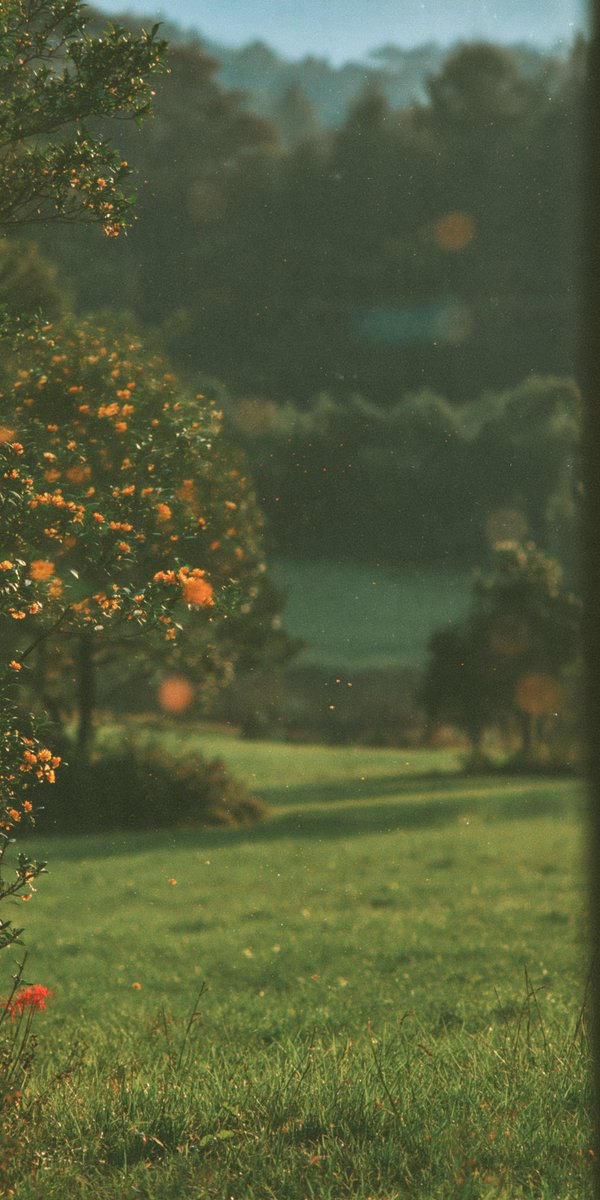 aestheticwabi's tweet photo. https://t.co/dzYsU4fc7M