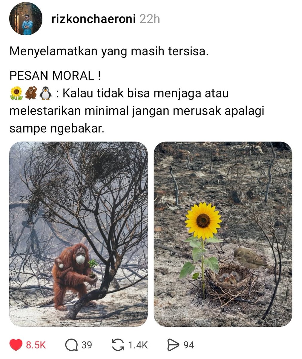 heniunique's tweet photo. Rizko, senin pagii bikin nangis aja 😭😭 kasihan hewan di Kalimantan. https://t.co/jUMaGcwWJB