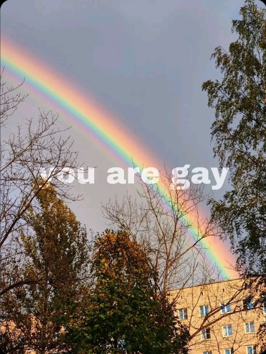 Alexc5prk's tweet photo. #LGBTQcommunityrefugees.
#Gay. https://t.co/4VtcJVRic8