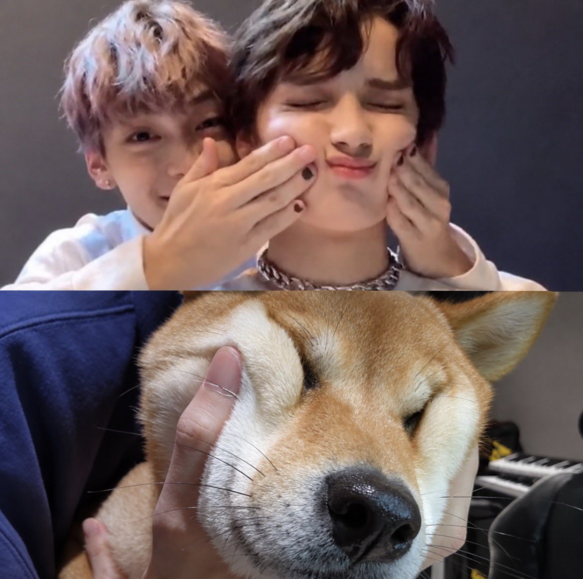 allaboutsookai's tweet photo. Hice un análisis en TikTok hace un tiempo mostrando cómo Soobin trata a Tori como trata a Kai 😂 Así que esto me parece gracioso 🤭 Sus dos cachorritos 🥰 #Sookai https://t.co/shV1igXxYL