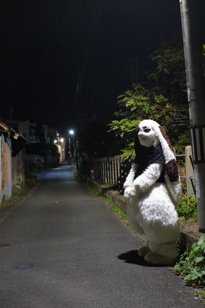 dory_focus's tweet photo. 今週はご縁があり、こいと旅館さんへ遊びに行ってました。
ライメイを迎える前から親しくして下さった素敵なメンバーの方々に囲まれながら、楽しい時間を共有することができました！

街の方も、旅館の方も暖かく迎え入れてくださって、いままで利用されてきた方々と信頼関係に感謝しております。

そしてまたいつか、みんなとここで集まりたいです！
📷:X-T5 + XF35mm F1.4 R
(最後のお写真はルーブさん📸)
#こいと写真館