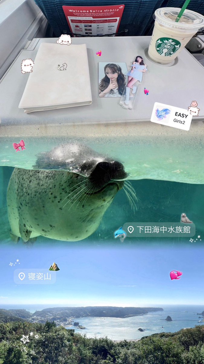 raye__77's tweet photo. 📍伊豆旅行➰🎶💖
ハロウィン桜花ちまとってもかわいかった〜＞ᵕ＜🎵💕
#Girls2_EASY #小川桜花 https://t.co/YL2fiywuRs