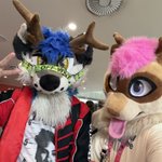 Photo by ari✨ 🔜 FURUM, JMOF (@heya_ari)