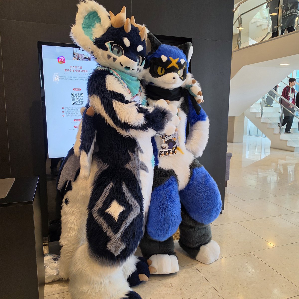 Qwertyas1108's tweet photo. @Ruta_fur @Kurokumory 닌자와 드래곤 투샷! https://t.co/bdjflvfo69