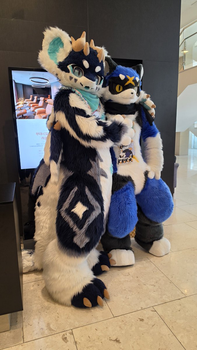 Qwertyas1108's tweet photo. @Ruta_fur @Kurokumory 닌자와 드래곤 투샷! https://t.co/bdjflvfo69