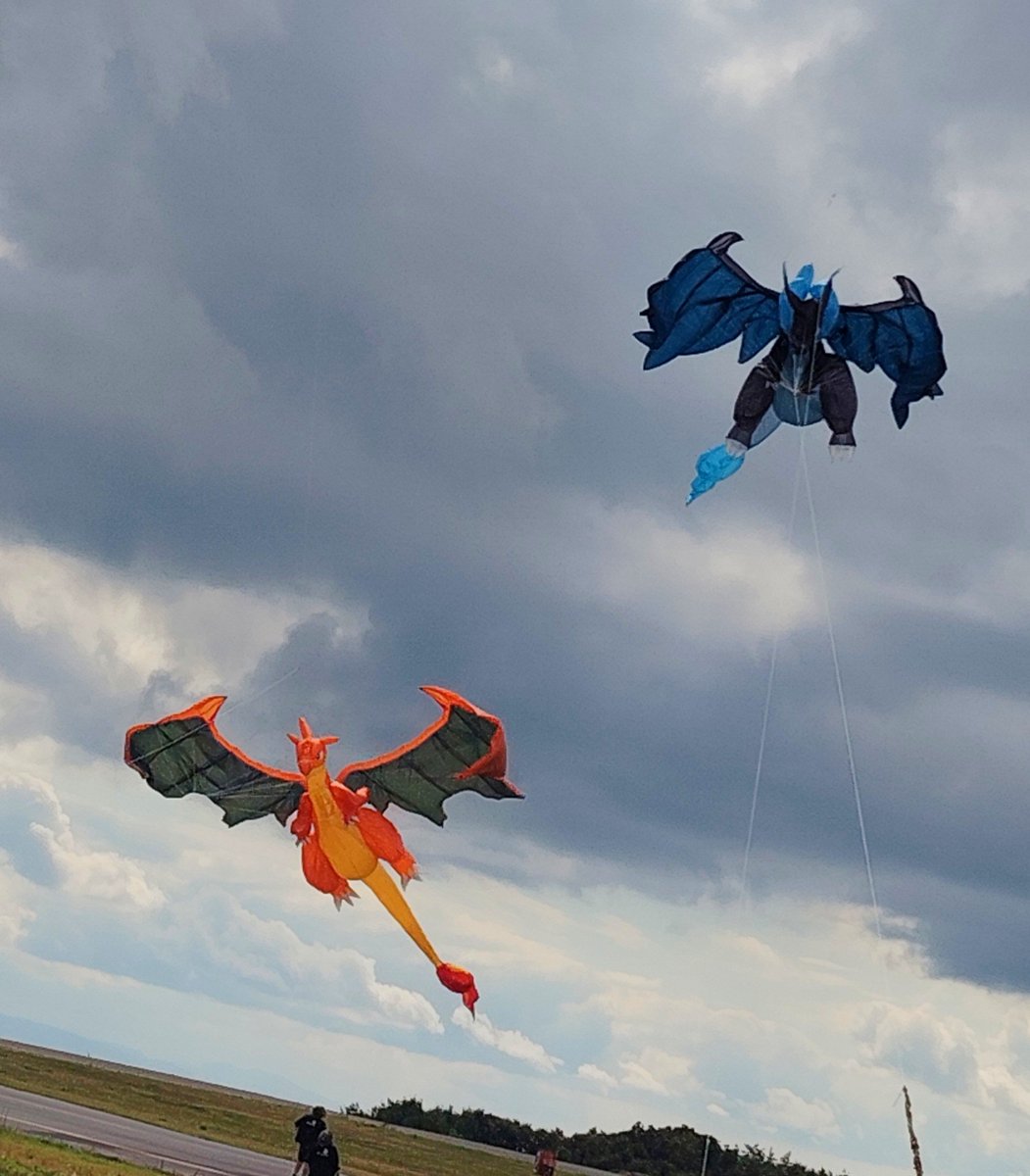 kyusui_polymer's tweet photo. ポケモンカイト！最初風が弱くてなかなか上がらなかったけど途中からはいい感じでした!！ https://t.co/7KBkC4MeDS